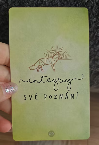 Kroky do neznáma